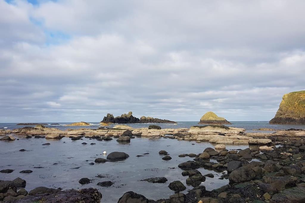 Mcconaghys Glenside Farmhouse Whitepark Bay Ballintoy Exterior photo